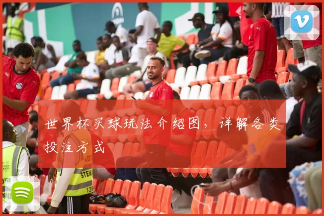 世界杯买球玩法介绍图,详解各类投注方式