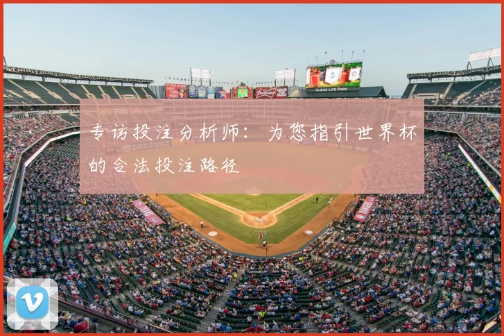 专访投注分析师:为您指引世界杯的合法投注路径