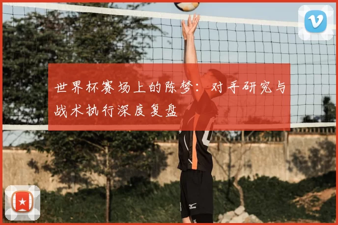 世界杯赛场上的陈梦:对手研究与战术执行深度复盘