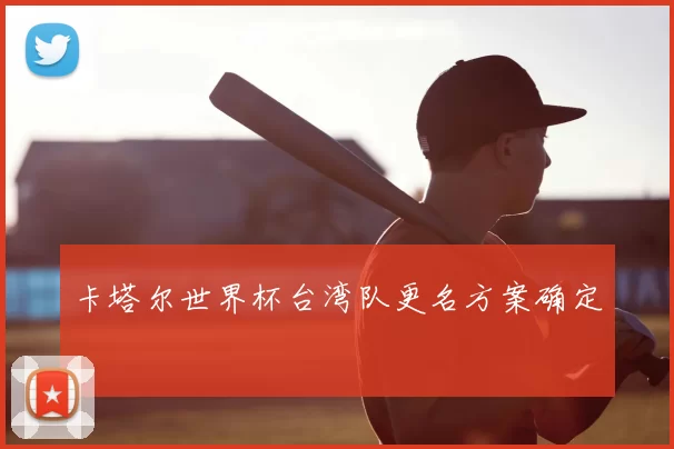 卡塔尔世界杯台湾队更名方案确定