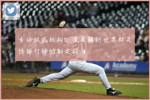 专访权威机构：深度解析世界杯足协排行榜的制定标准